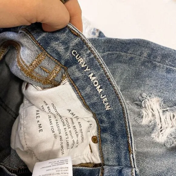 American Eagle Distressed Curvy Mom Jeans 4