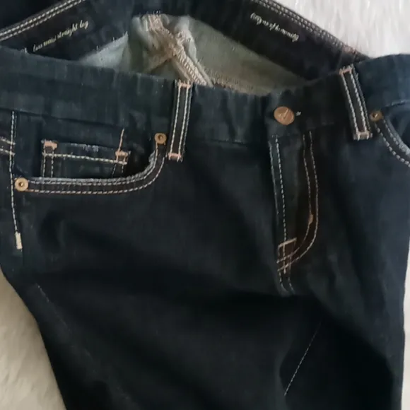 Citizens of Humanity Jeans Low Rise Wide Leg