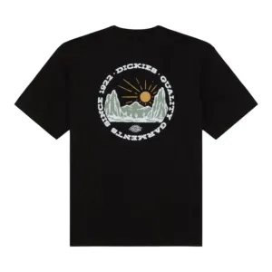 Dickies Outdoor T-Shirt Black (Back Print)