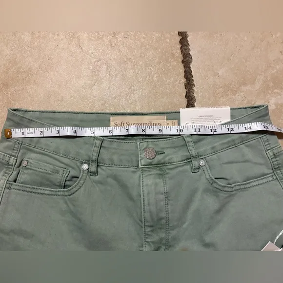 NWT Soft Surroundings Women’s 10 Fly Front Straight Leg Ultimate Denim Light Grn