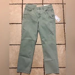 NWT Soft Surroundings Women’s 10 Fly Front Straight Leg Ultimate Denim Light Grn