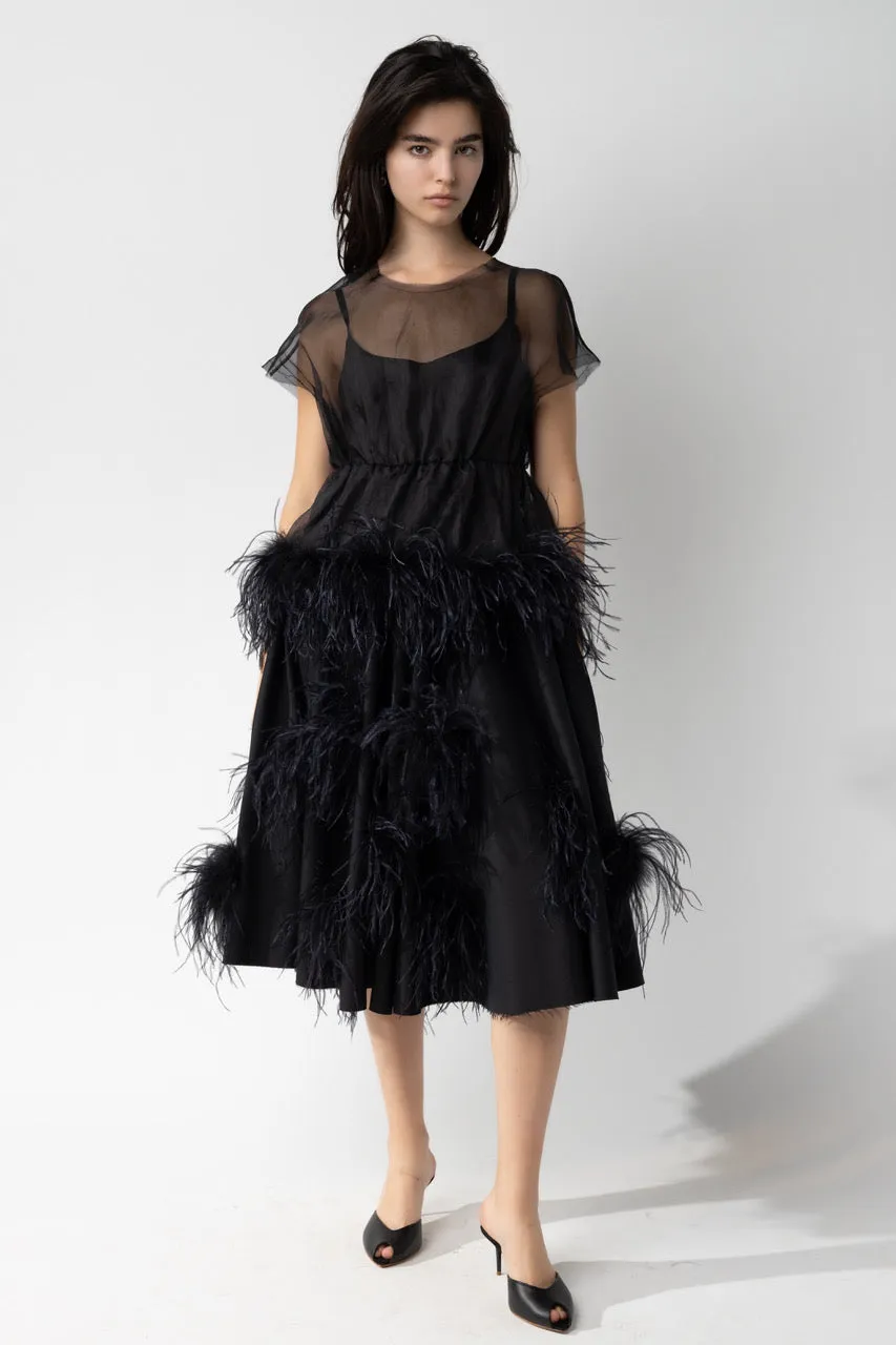 Organza Peplum with Feather Trim