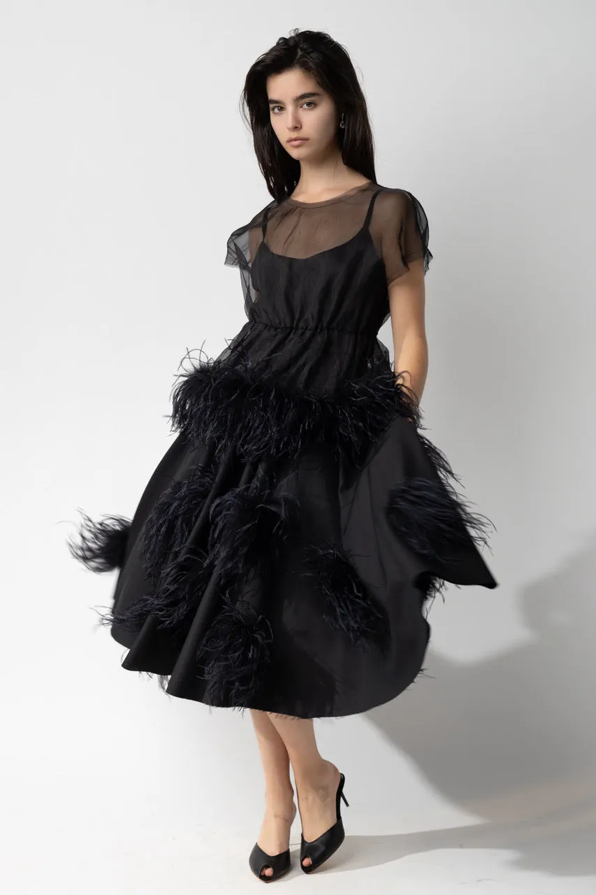 Organza Peplum with Feather Trim