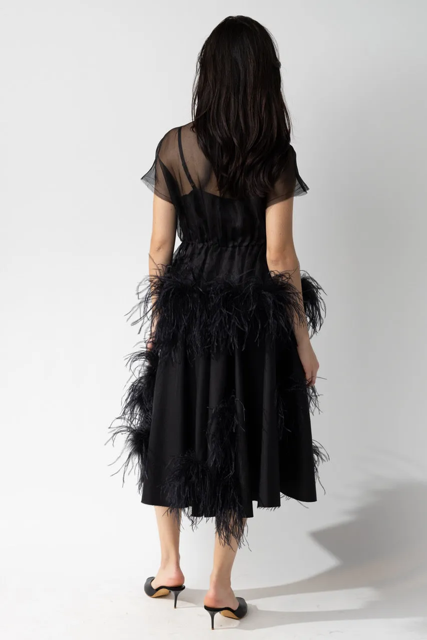 Organza Peplum with Feather Trim