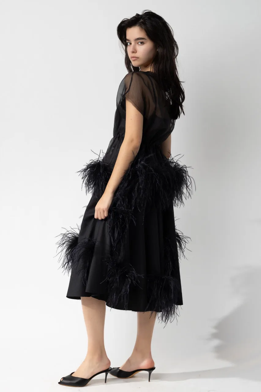 Organza Peplum with Feather Trim